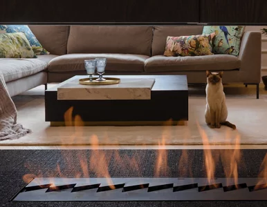 Miniatura: Te style są już niemodne. Zatem jak dziś...