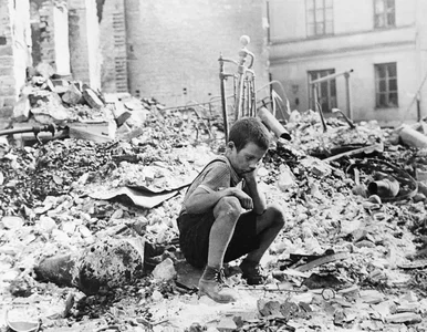 Miniatura: Prof. Nowak: Niemcy nic nie wiedzą o...