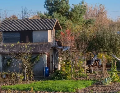 Miniatura: Postawiłeś szopę za blisko granicy? Szykuj...