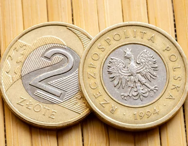 Miniatura: Tysiące Polaków mają tę monetę w portfelu....