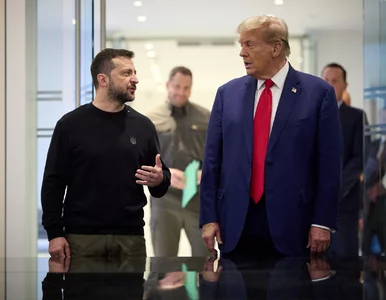 Miniatura: Kto zawinił podczas awantury w Białym...